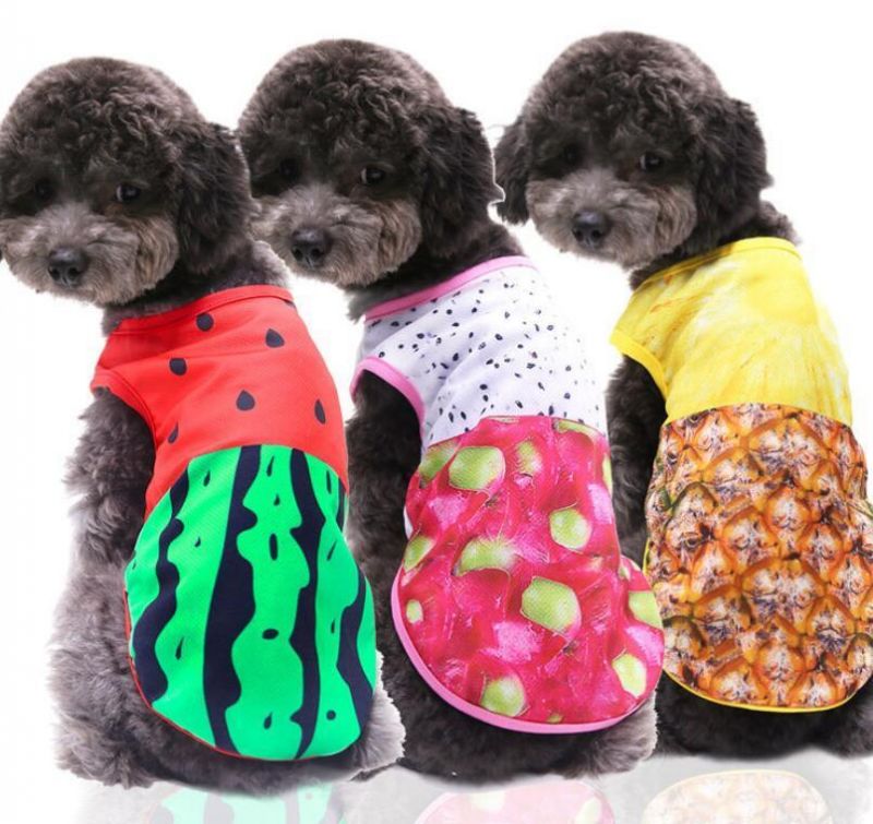 Cooling Mesh Fast Delivery of Dog Vest