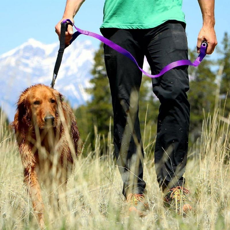 Double Soft Padded Handle Training Lead