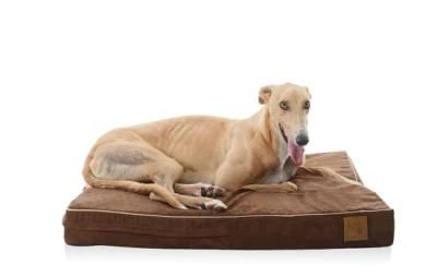 Orthopedic Memory Foam Dog Bed with Durable Water Proof Liner and Removable Washable Cover