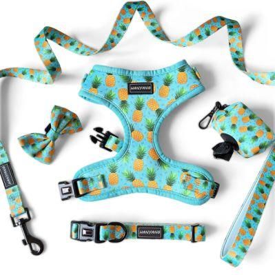 2022 Free Sample Customized Designs Pet Harnesses Dog Vest Harness Dog Harness and Leash Luxury Designer Wholesale Custom Dog Harness