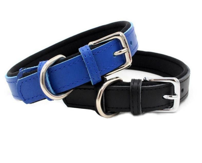 Leather Dog Collar Neoprene Lining Pet Collar