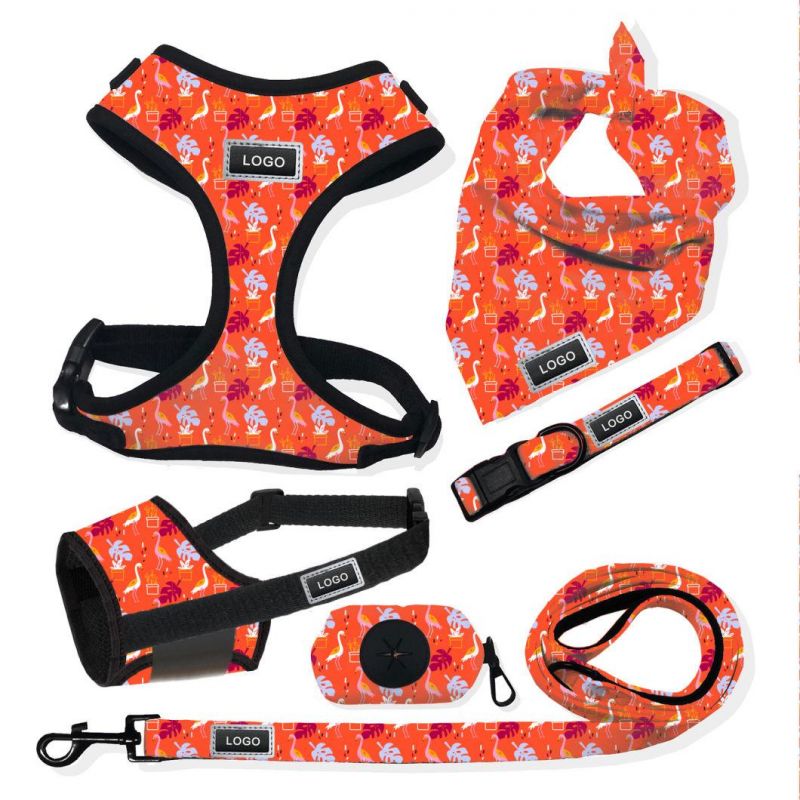 Pet Supplies Custom Dog Harness Reversible No Pull Dog Harness and Leash Front D Buckle Accesorios PARA Mascotas Vest for Dog