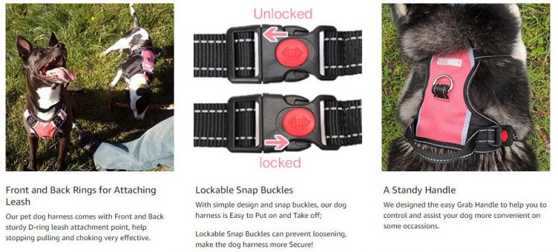 Front & Back Range Lockable Snap Buckles Safe Outdoor Pet Supply, Pet Harness