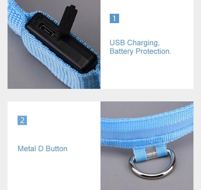 Amazon Best Seller Flashing USB Cable Adjustable Rechargeable Glow Light up LED Pet Dog Collar for Dog