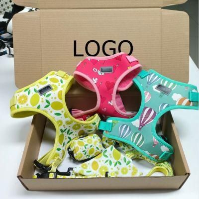 Custom Box Dog Product Adjustable Dog Harness Vest Premium Dogs Harness Accesorios PARA Mascotas Correas PARA Perros Y Gatos