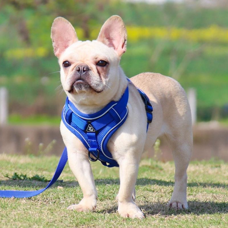Dog Harness with 150cm Leash Set No Pull Dog Vest