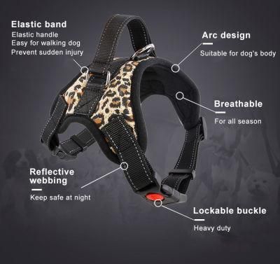 Manufacturer Explosive Small Medium Large Stylish Pet Product Dog Leash