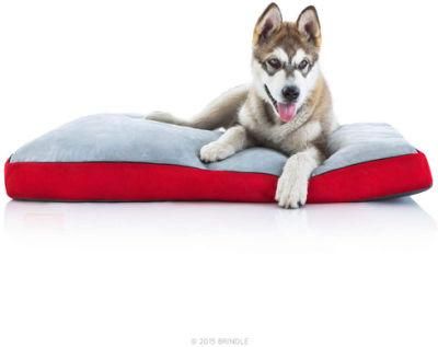 Orthopedic Dog Bed with Handy Zippered Cover Best Pet Supplies