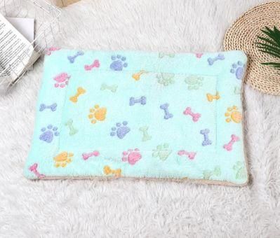 OEM Sublimation Cutsom Pattern Comfortable Winter in Winter Velvet Plush Dog Blanket