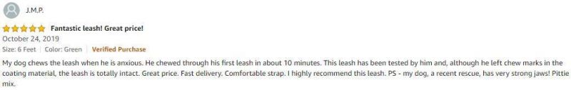 Chew-Proof Dog Leash Customized Feet Cable Lead with Padded Handle