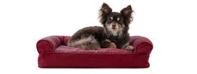 Orthopedic Sofa-Style Traditional Living Room Couch Pet Bed Dog Bed
