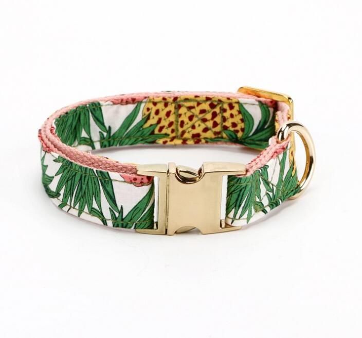 Fashion Design Cotton Webbing Lining and Custom Printed Polyester Dog Collar and Leash with Stainless Buckle