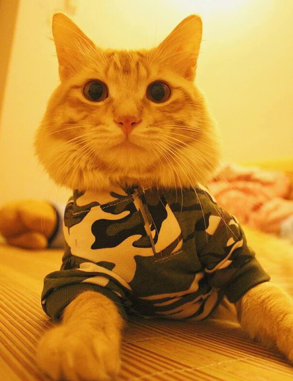 Dog Hoodie Camo Dog Clothes Dog Shirts for Small Medium Large Dogs