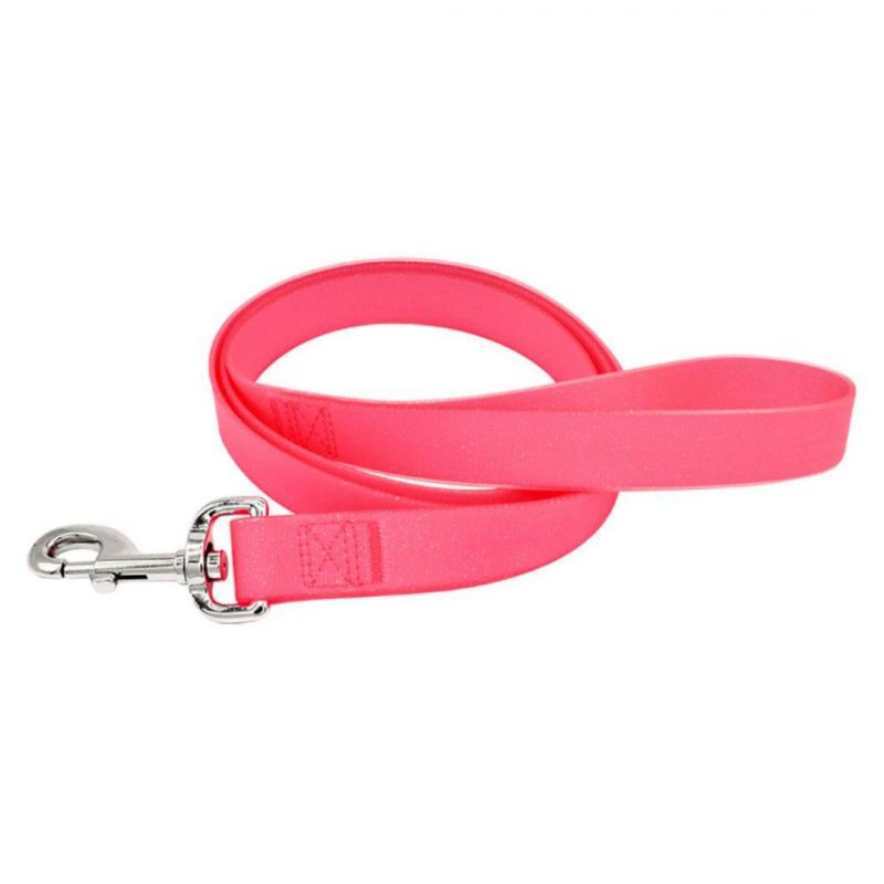 Waterproof TPU Coafed Nylon Webbing Dog Collar and Leash