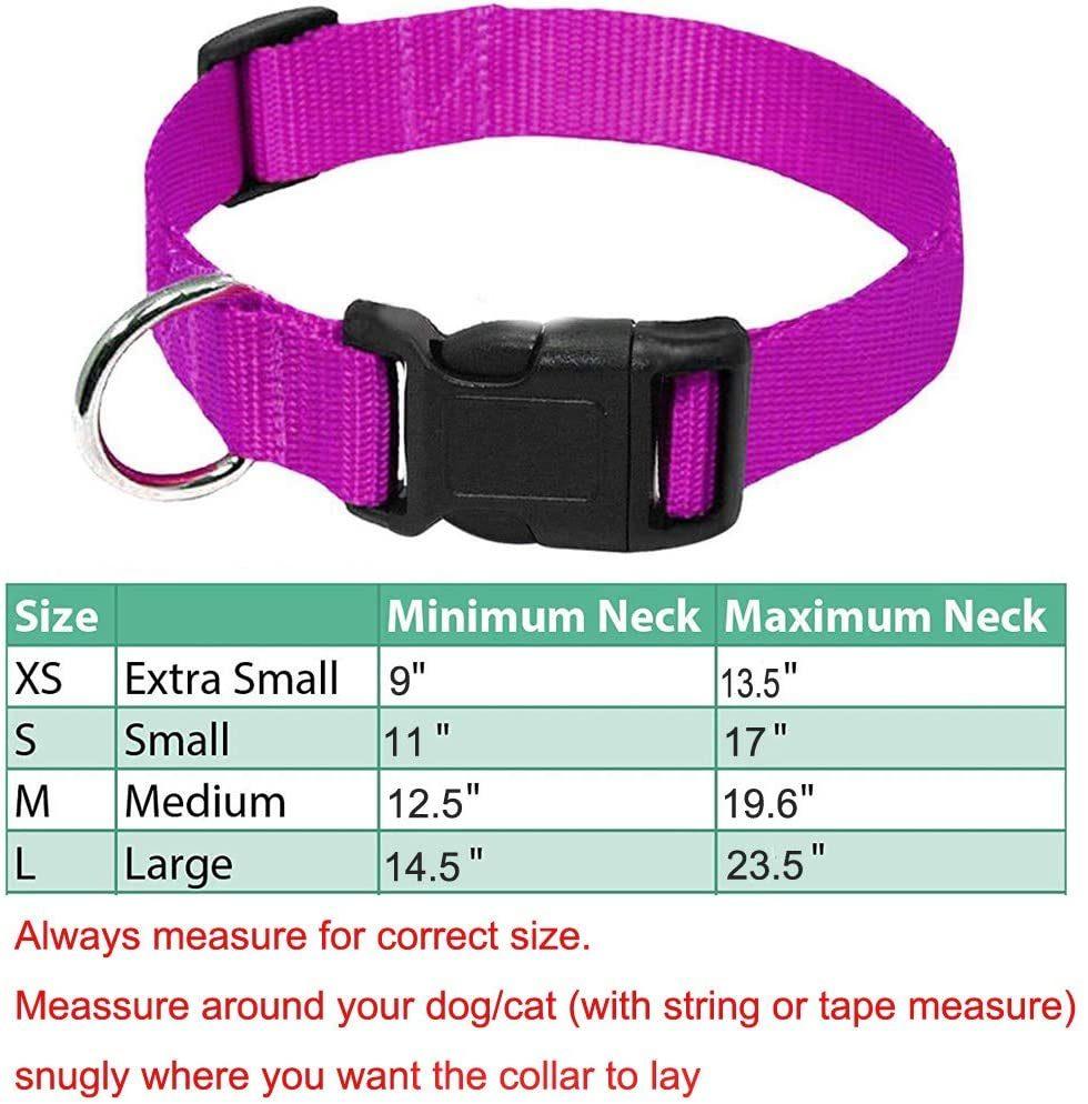 Solid Colors for Small Sized Dogs Neck Multicolor Dog Collar