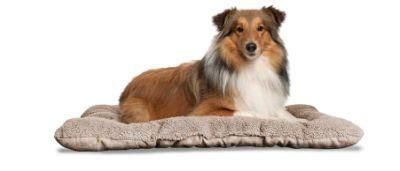 Pet Dog Bed Kennel Pad