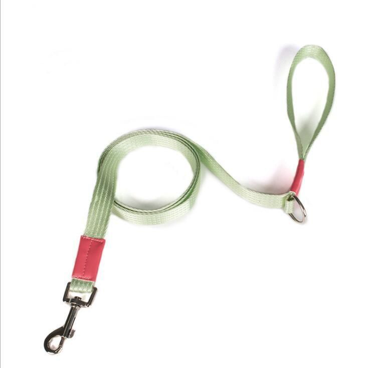 Fast Delivery of Soft Durable Dog Leash with Multiple Colors