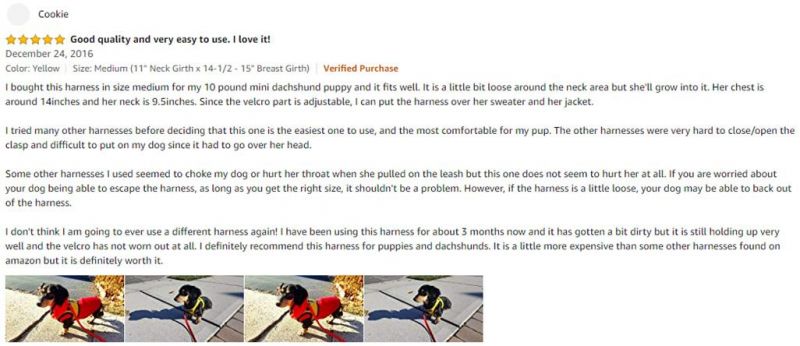Pet Control Double Mesh Leash Set Vest Harness for Dogs & Cats