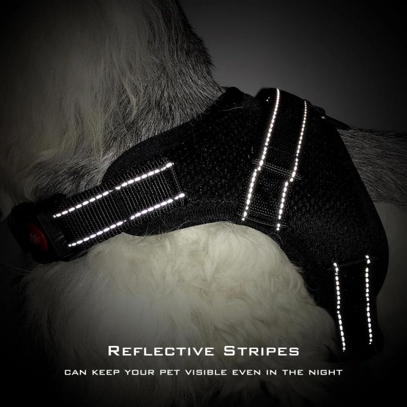 Wholesale No Pull Reflective Breathable Adjustable Dog Harness Pet Supply