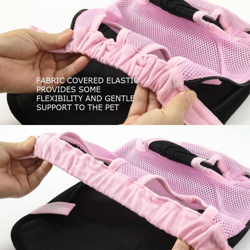 Premium Comfortable Backpack Outdoor Wholesale Portable Dog Bag Pet Accessories