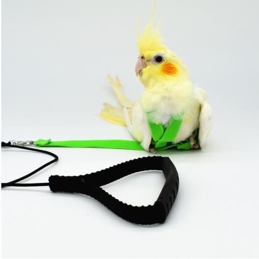 Light Release Traction Rope Peony Mystery Wind Small Sun Walking Bird Release Rope Parrot Flying Harness Rope Pet Products