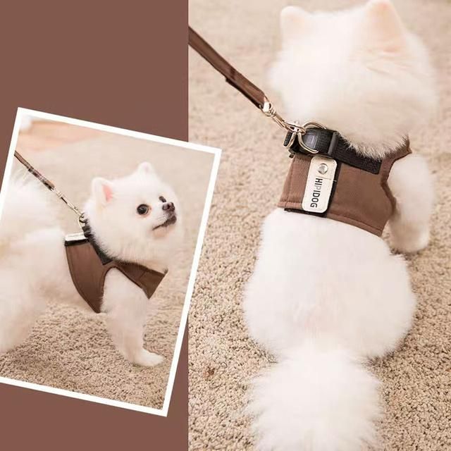 Pet Clothes for Dog Easy Control Popular Fasionable Pet Vest