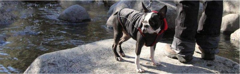 Highly Reflective Lining Dog Jacket Dog Winter Coat Water Resistant Outside Dog Jacket