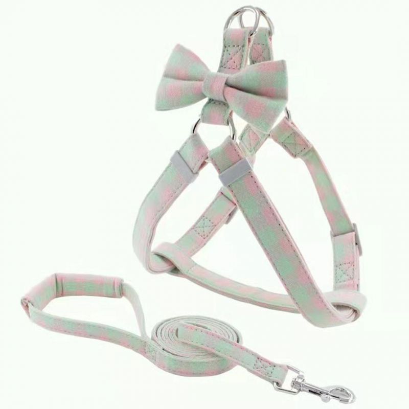 Popular Bowtie Pet Harness and Leash Set