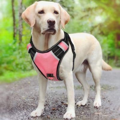 Dog Harness with Bright Bold Color and Reflective Straps