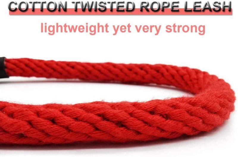 Fashion Colors with Bright Individuality Rope Dog Leash