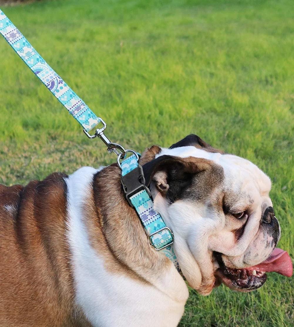 Sturdy Pattern Dog Leash Support Customer Design Dog Leash