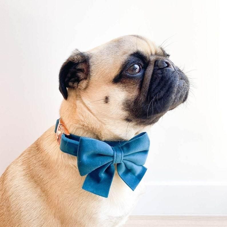 2021 Spring Collection OEM Polyester Custom Pet Velvet Bowtie Accessories