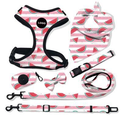 Popular Custom Design Dog Harness /Dog Leash