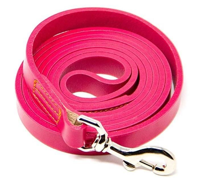 OEM Sublimation Multicolor PU Leather Waterproof Custom Pet Dog Leash