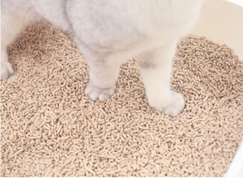 Natural Biodegradable and Flushable Wood Clumping Cat Litter with Activated Carbon Better Odor Control