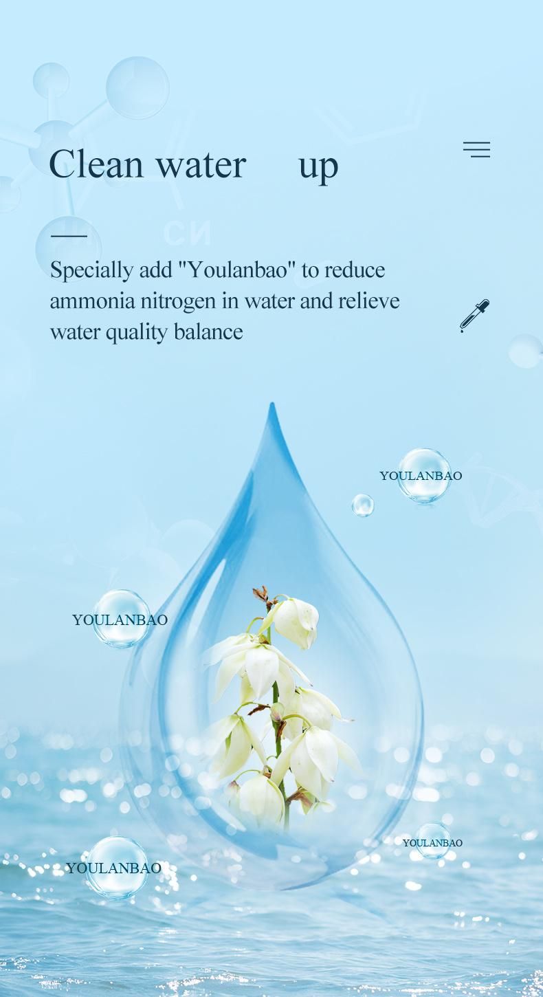 Yee Fish Nutrition Food High Protein Fish Food Cichlids Healthy Food