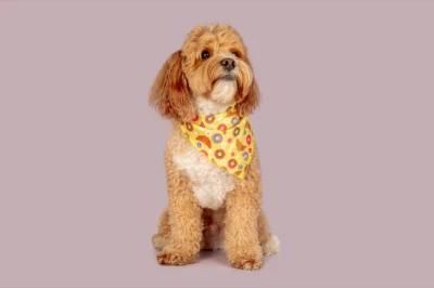 Free Sample Dog Accessories Cotton Soft Bandana Custom Personalized Dog Bandana