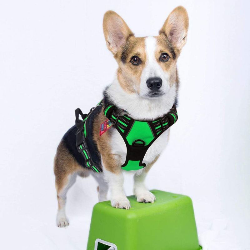 Breathable Chest Padded Mesh Adjustable Reflective Dog Vest