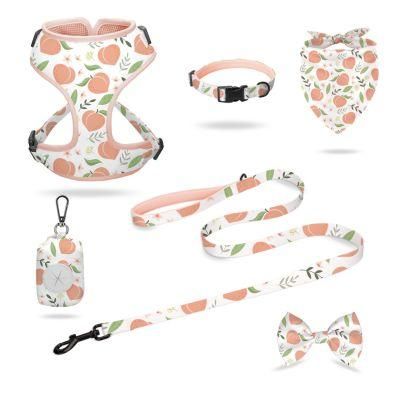 2022 Instagram Hottest Customized Personal Logo Dog Harness Matching Pet Accessories Collars Dog Vest Harness for Pets