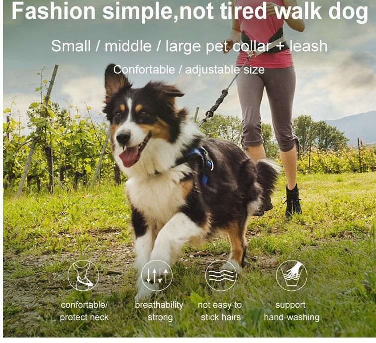 Custom High Quality Soft Dog Training Collar Dog Collar Buckle Metal Retractable Pet Collar