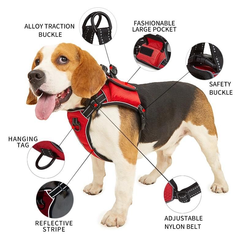 Amazon Hot Style Factory No Pull Dog Harness Adjustable Reflective Oxford Easy Control Dog Harness with Heavy Duty Dog Leash Set
