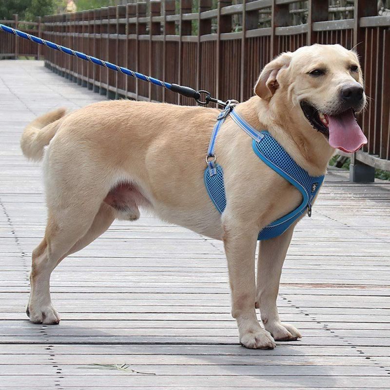 Air Mesh Dog Harness and Leash Set for Large Dogs