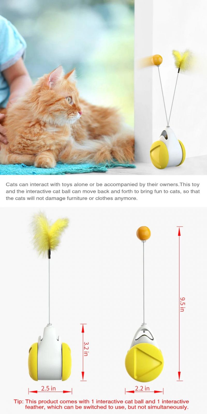 Pets Product for Cat Dog
