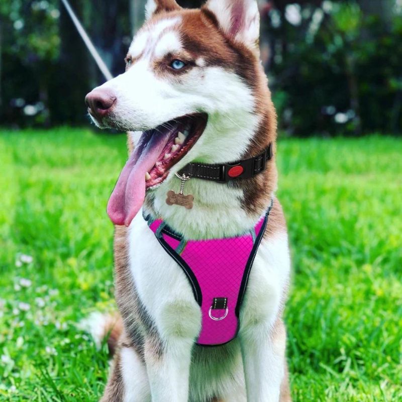 Reflective Dog Harness with Breathable Mesh Lining with Soft Sponge Padding Plate