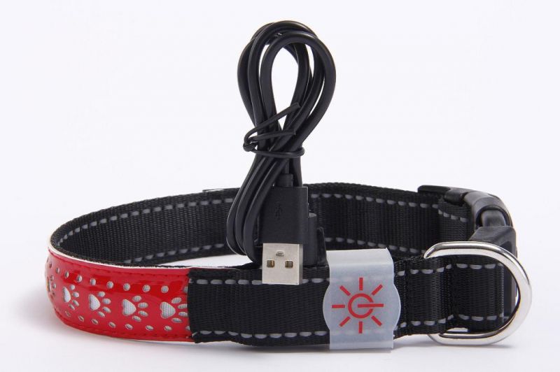 Best Selling Carved Leather Flashlight Nylon Strip Pet Glow Battery or USB Rechargeable LED Dog Collar