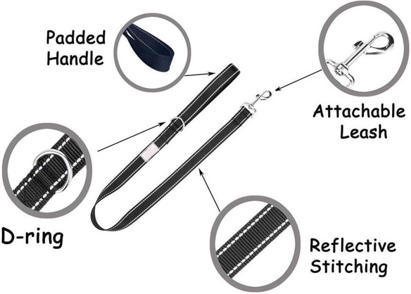 Comfortable Shock Absorbing Reflective Bungee Lead Walk 2 Dogs with Ease