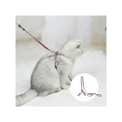 New Hot Items Nylon Webbing with Digital Printing Digital Printing Pet Collars and Leash Set