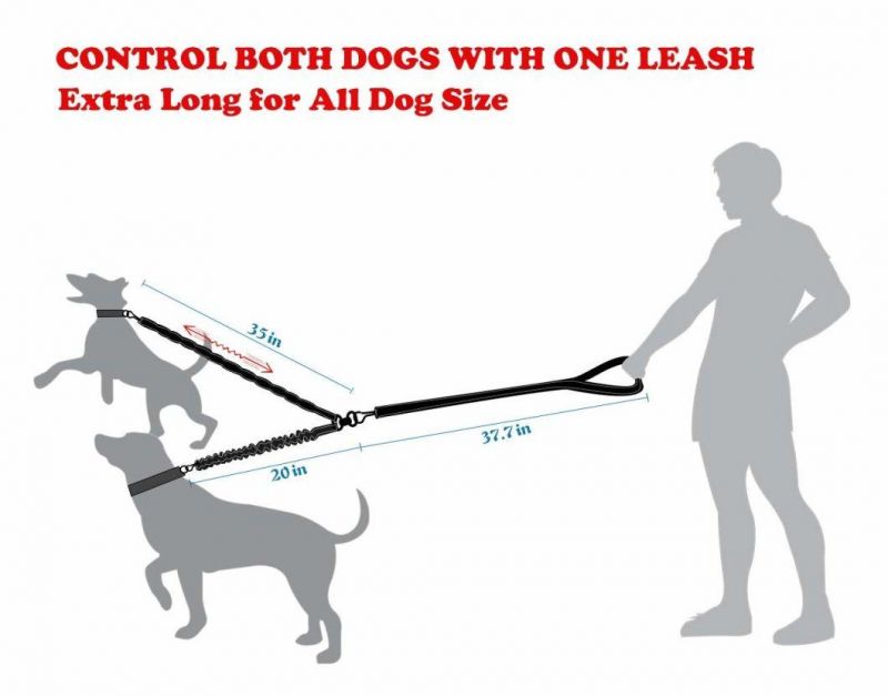 Dual&Double Bungee Pet or Dog Leash Fit Large & Medium Dogs
