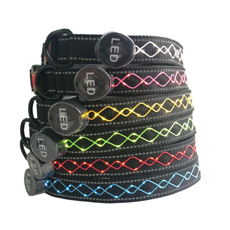 2021 Hot Sales Safety LED Dog Collar and Leash LED Dog Collar