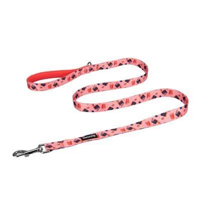 Most Popular Fashion Design Soft Padding Pet Dog Leash